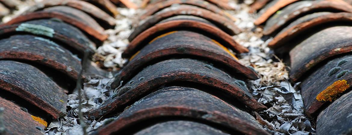 Lavage, Nettoyage toiture, demoussage