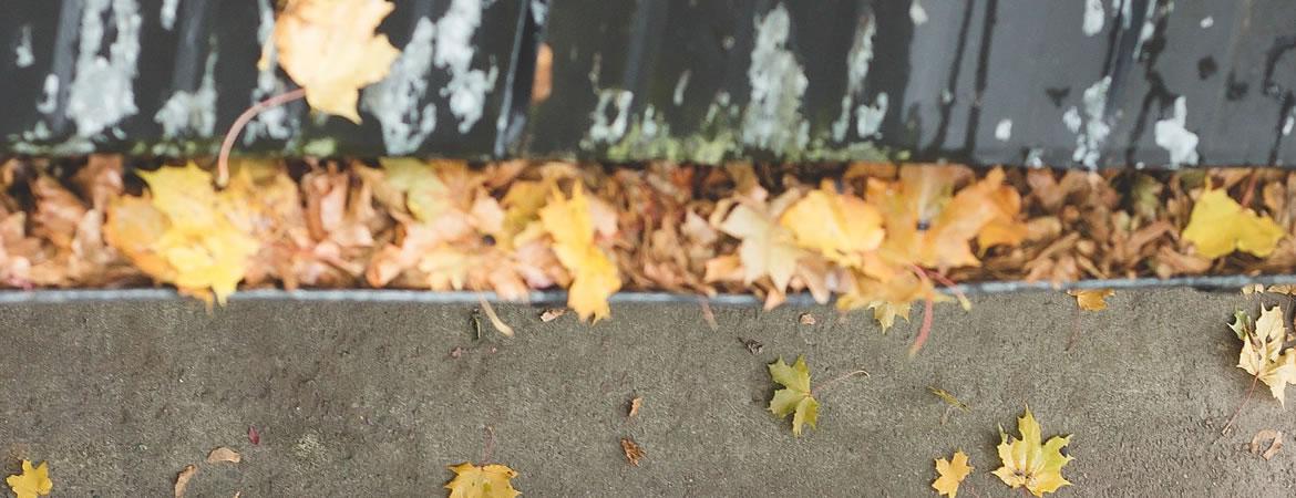 Entretien de gouttières et chenaux dans le Luberon et le Vaucluse